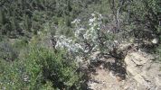 PICTURES/Chimney Rock National Monument - Pagosa Springs, CO/t_IMG_9694.JPG